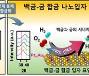 만능 산화제 '과산화수소' 대량생산 상용화된다