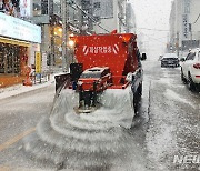 강남구 제설작업