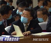 마스크 착용한 북한 당대회 부문별 협의회 참석자들