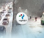 [속보] 서울 지역에 눈발..시내 곳곳 결빙 우려