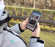 횡성숲체원 모바일 언택트 산림 퀴즈 앱 '포키포키' 출시