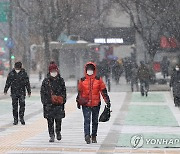 눈발 날리는 서울