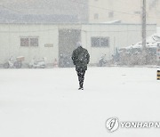 펑펑 내리는 눈
