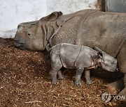 POLAND ANIMALS