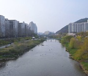 안양시 명소 '안양천' 변신 꾀한다