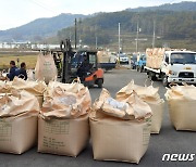 "지난해 쌀 생산 줄어"..정부 공공비축미 7.6만톤 시장 공급