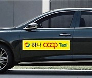 춘천에 세번째 택시협동조합 출범..내달부터 운행