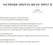"女연예인 불법영상 '딥페이크' 처벌" 淸청원,하루만에 23만 돌파