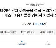 알페스·딥페이크가 동일선상?..靑 국민청원 달군 설전 "팬덤 문화vs성적대상화" [종합]