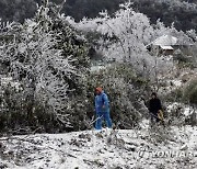 '눈이 펄펄 내렸습니다, 베트남에'..이례적 저온에 농업 피해·가축 폐사