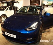 "S·3·X·Y' 라인업 완성".. 테슬라, 두 번째 SUV 전기차 '모델Y' 국내 첫선