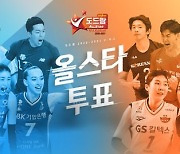 V리그 올스타 선정, 15일부터 온라인 팬 투표 '진행'