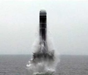 "국산 SLBM 지상 사출시험 완료..연내 수중시험 계획"