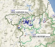 춘천·화천·인제서 ASF 감염 멧돼지 폐사체 잇따라 발견..강릉도 차단 방역 안간힘
