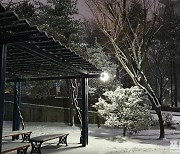 [포토친구] 눈 내리는 겨울밤