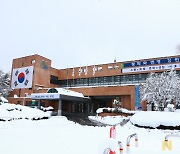 태백시, 임산물생산조사 도급조사원 모집