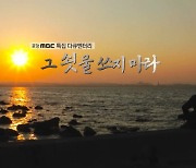 포스코, 자사 직업병·공해 다큐 MBC 기자에 손배소