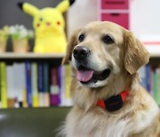 '개통령' 강형욱 없어도 우리집 댕댕이 기분 알 수 있어요