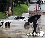 물 먹은 중고차 2만대 풀렸다.. 호갱 피하려면?