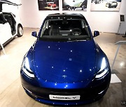 [머니S포토] 테슬라, 전기 중형 SUV 모델Y 공개