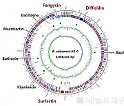 안동대 전용호 교수팀,세계첫 사과 탄저병 방제 미생물 유전체 규명