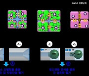 '비알코올 지방간' 진행경과 정량평가 가능..3D 세포모델 개발