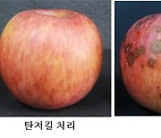 전용호 안동대 교수팀, 사과 탄저병 방제 미생물 유전체 규명