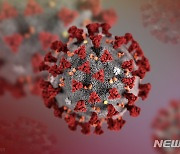 WHO, "영국, 남아공에 이어 일본 변이 바이러스도 우려 수준"
