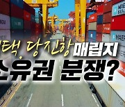 [영상]평택·당진항 매립지 '소유권 분쟁' 누구 손에?