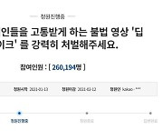 "성인 비디오 합성 피해"..알페스∙딥페이크, 靑 국민청원 등장→"강력 처벌 촉구" 동의ing [종합]