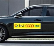 춘천에 부는 택시 협동조합 열풍