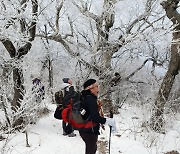 태백산국립공원, 겨울성수기 불법·무질서 행위 집중단속