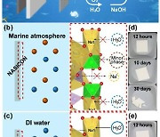 바닷물로 전기 충전하는 '해수전지' 핵심 부품 안정성 규명