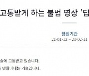 딥페이크 처벌 청원 15만명 동의..'女연예인 성범죄 피해 심각'