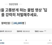 '딥페이크'에 고통받는 女연예인..소속사들 "법적 대응할 것"[★NEWSing]