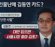 與, 돌고 돌아 '김동연 차출설'