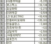[표]코스피 외국인 연속 순매도 종목(13일)