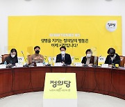 정의당 '아동학대 및 입양제도 관련 정책간담회'