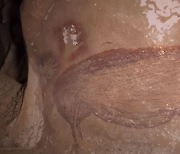 4만5500년전 멧돼지 동굴벽화 인니서 발견..세계 최고