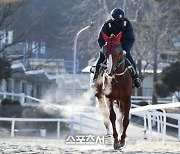 한국경마 비전 제시할 국회토론회 열린다