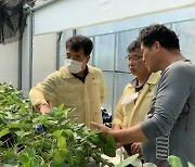 고흥군, 소득 더하기 특화작목 사업 본격 추진