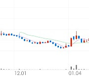 소룩스, +10.66% VI 발동