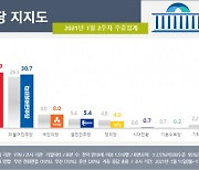 서울지역 국민의힘 34.7% vs 민주 24.6%
