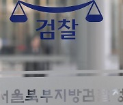 檢, '박원순 피소 유출' 의혹 남인순·김영순 수사 착수