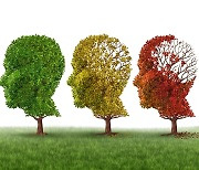 Half of Alzheimer's patients show mild symptoms of dementia