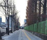 송파구, 풍납동 일대 '역사문화 특화거리' 조성