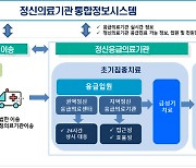 정신응급환자 신속 치료, 24시간 권역별 대응센터 지정