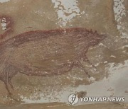 인니 술라웨시섬서 세계 최고(最古) 동굴벽화 또 발견