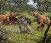 '왕좌의 게임' 등장 큰 늑대 다이어 울프는 늑대 근연종 아냐