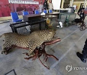 INDONESIA CRIME WILDLIFE TRADING